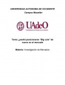 INVESTIGACION DE MERCADO DE LA EMPRESA BIG COLA