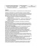 Examinando la caverna de Platón. Las organizaciones como cárceles psíquicas