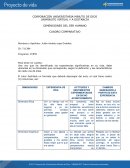 DIMENSIONES DEL SER HUMANO CUADRO COMPARATIVO