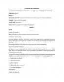 Proyecto escolar. Proyecto de enseñanza