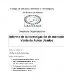 Informe de la investigación de mercado Venta de Autos Usados