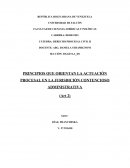 PRINCIPIOS QUE ORIENTAN LA ACTUACIÓN PROCESAL EN LA JURISDICIÓN CONTENCIOSO ADMINISTRATIVA