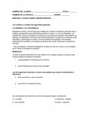 LA HORMIGA Y EL ESCARABAJO