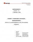 Informe “La sustentabilidad en las comunidades indígenas”