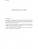 ECONOMIA DE HONDURAS 1982 – LA ACTUALIDAD