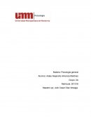 Etapas psicosexuales