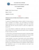Minerales que se pueden encontrar en la corteza terrestre