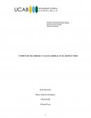 COMITÉ DE SEGURIDAD Y SALUD LABORAL EN EL REINO UNIDO