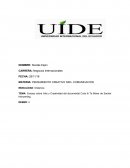 Ensayo sobre Arte y Creatividad del documental Cutio & Te Bóxer de Sachar Heinzerling