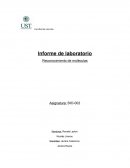 Informe de laboratorio Reconocimiento de moléculas