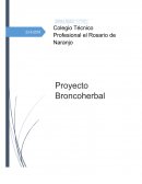 Proyecto Broncoherbal