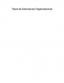 Tipos de Estructuras Organizacional
