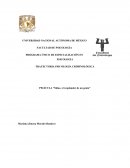 PELÍCULA “Shine, el resplandor de un genio”