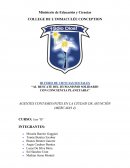 Agentes contaminantes en la ciudad de Asunción (mercado 4)