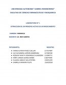 LABORATORIO N° 1 EXTRACCION DE UN PRINCIPIO ACTIVO DE UN MEDICAMENTO