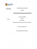 Organización Industrial I: Poder de Mercado, Eficiencia y Bienestar