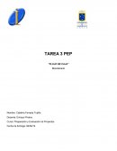 Preparación y evaluación de proyectos