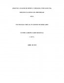 ANALISIS DE OFERTA Y DEMANDA VINILSAM LTDA