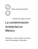 La contaminación Ambiental en México