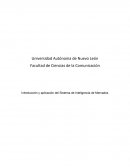 Introducción y aplicación del Sistema de Inteligencia de Mercados