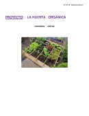 PROYECTO: LA HUERTA ORGÁNICA