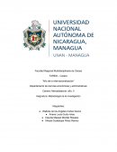 Plan estratégico para la proyección de los servicios que brinda la clínica dermatológica “Dermanova” ubicada en el departamento de Carazo-Jinotepe, periodo Octubre-Noviembre 2018