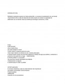 Misión visión y objetivos de un negocio tienda virtual SALIM.COM