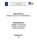 LABORATORIO DE QUÍMICA INORGÁNICA PRACTICA #3: DUREZA CALCICA Y MAGNESICA
