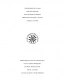 Seminario electivo de literatura ¿Cuál es el papel del impulso de juego dentro de la obra “Cartas sobre la educación estética del hombre” ?