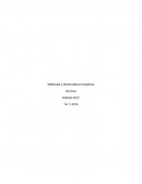 Moléculas y Nomenclatura Inorgánica Química