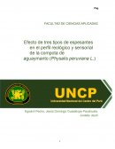 Efecto de tres tipos de espesantes en el perfil reológico y sensorial de la compota de aguaymanto (Physalis peruviana L.)