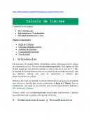 Problemas de Limites