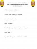 Tarea: Cap. 8 Caso empresarial Converse: ¡Chuscks, los amamos!