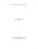 Diagnostico Organizacional Distribuidora LAP S.A.S