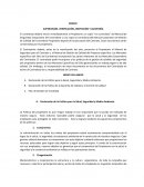 ANEXO I SUPERVISIÓN, VERIFICACIÓN, INSPECCIÓN Y AUDITORÍA