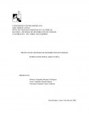 PROYECTO DE SISTEMAS DE DISTRIBUCIÓN DE ENERGÍA