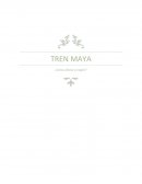Tren Maya ¿Cómo afecta la región?