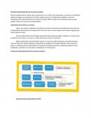 Proceso de aministracion de recursos humanos