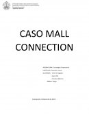 Resumen Ejecutivo Caso Mall Connection