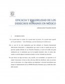 EFICACIA Y EXIGIBILIDAD DE LOS DERECHOS HUMANOS EN MÉXICO