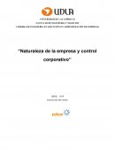 Naturaleza de la empresa y control corporativo