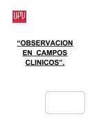 OBSERVACION EN CAMPOS CLINICOS
