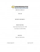 PRÁCTICA CLÍNICA II NRC 1449 RESUMEN E HISTORIETA violencia y terapia de pareja