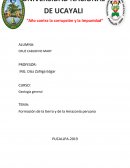 Formación de la tierra y de la Amazonía peruana