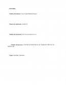 CONTRATO INDIVIDUAL DE TRABAJO- PROYECTO MODULAR