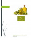 Dirección de mercadotecnia - empresa CJM S.A