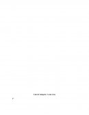 Luis de Góngora: A una rosa