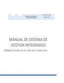 MANUAL DE SISTEMA DE GESTION INTEGRADOS