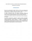 CASO PRACTICO CAPITULO 4 ESTRUCTURAS ORGANIZACIONALES