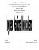 Ingreso Nacional Venezolano